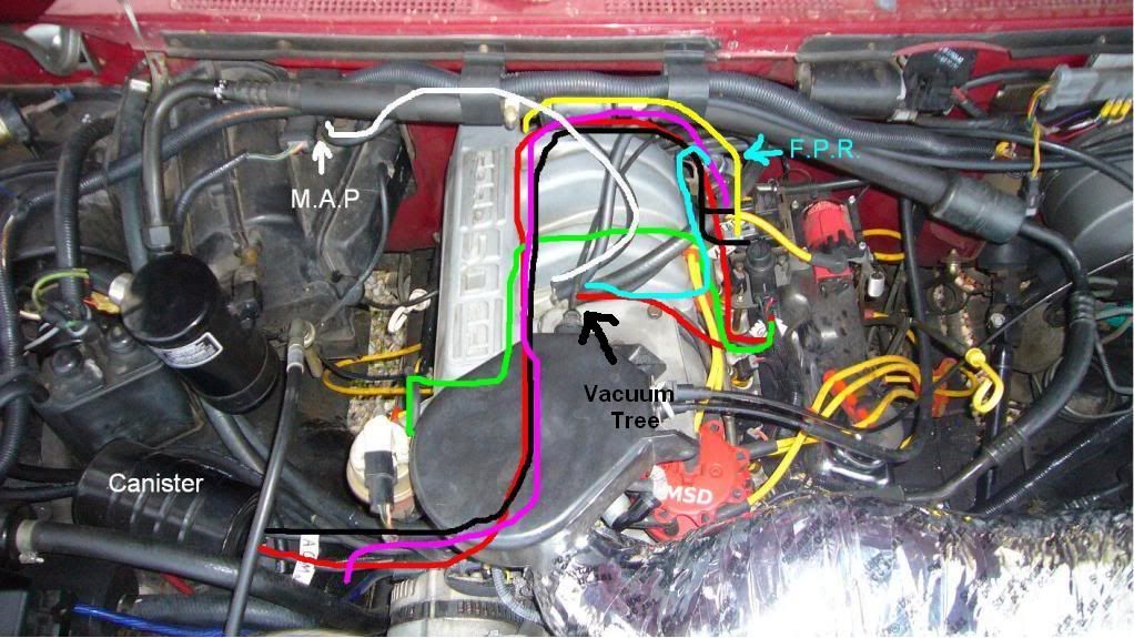1995 Ford F150 5.0 Vacuum Line Diagram