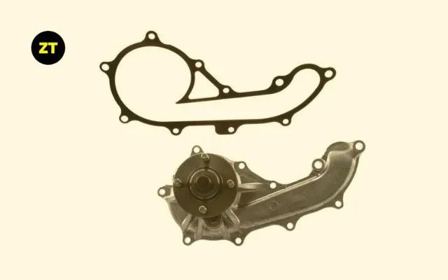 1997 Tacoma Water Pump Gasket