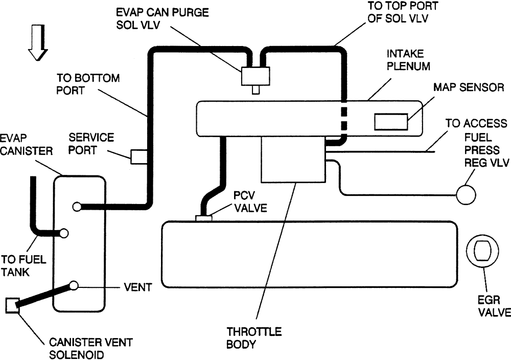2003 Ford F150 5.4 Vacuum Hose Diagram