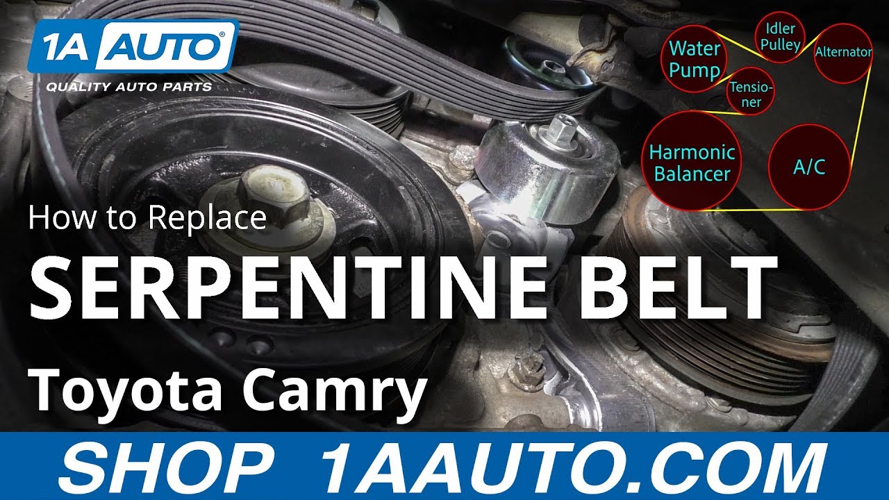 2.5 Liter 2010 Toyota Camry 2.5 Belt Diagram