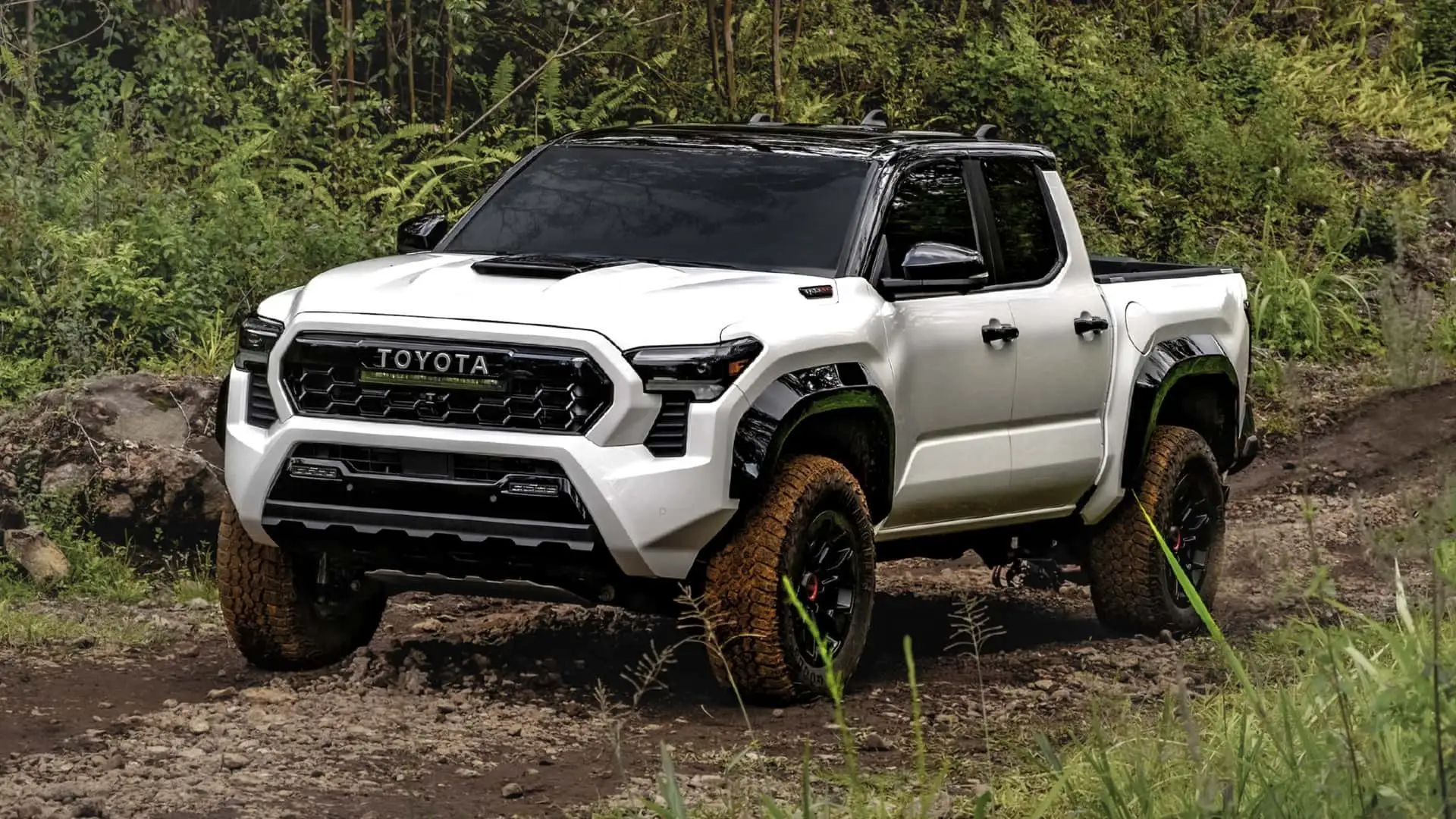 2024 Toyota Tacoma Problems And Complaints