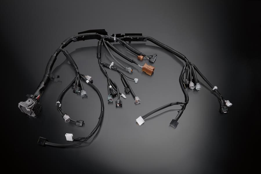 Engine Control Module Wiring Harness