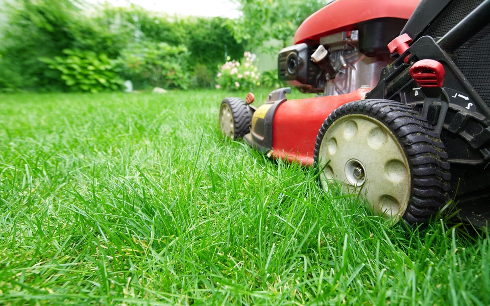 Lawn Mower Starts But Does Not Stay Running