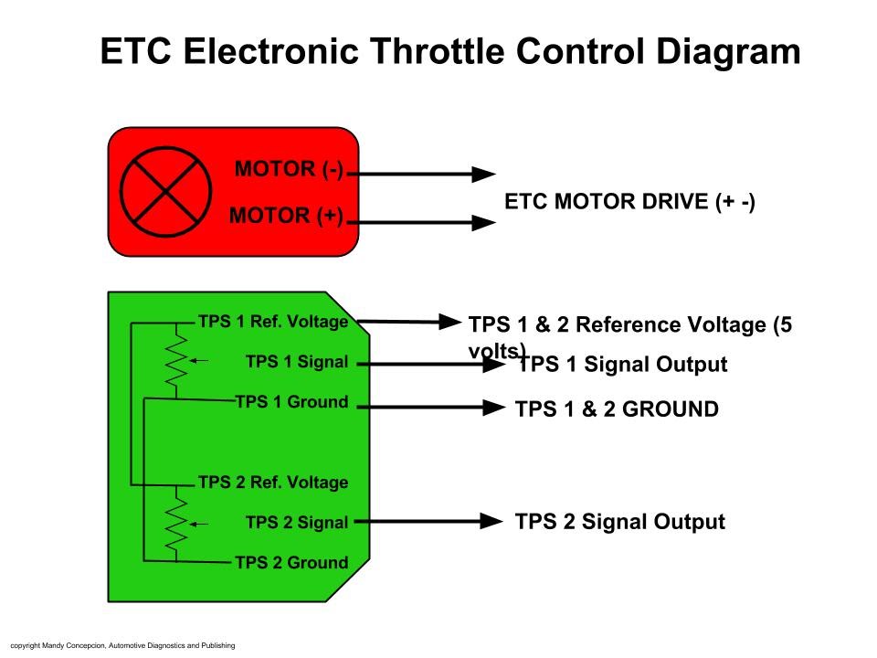 8 Pin Throttle Position Sensor Wiring Diagram