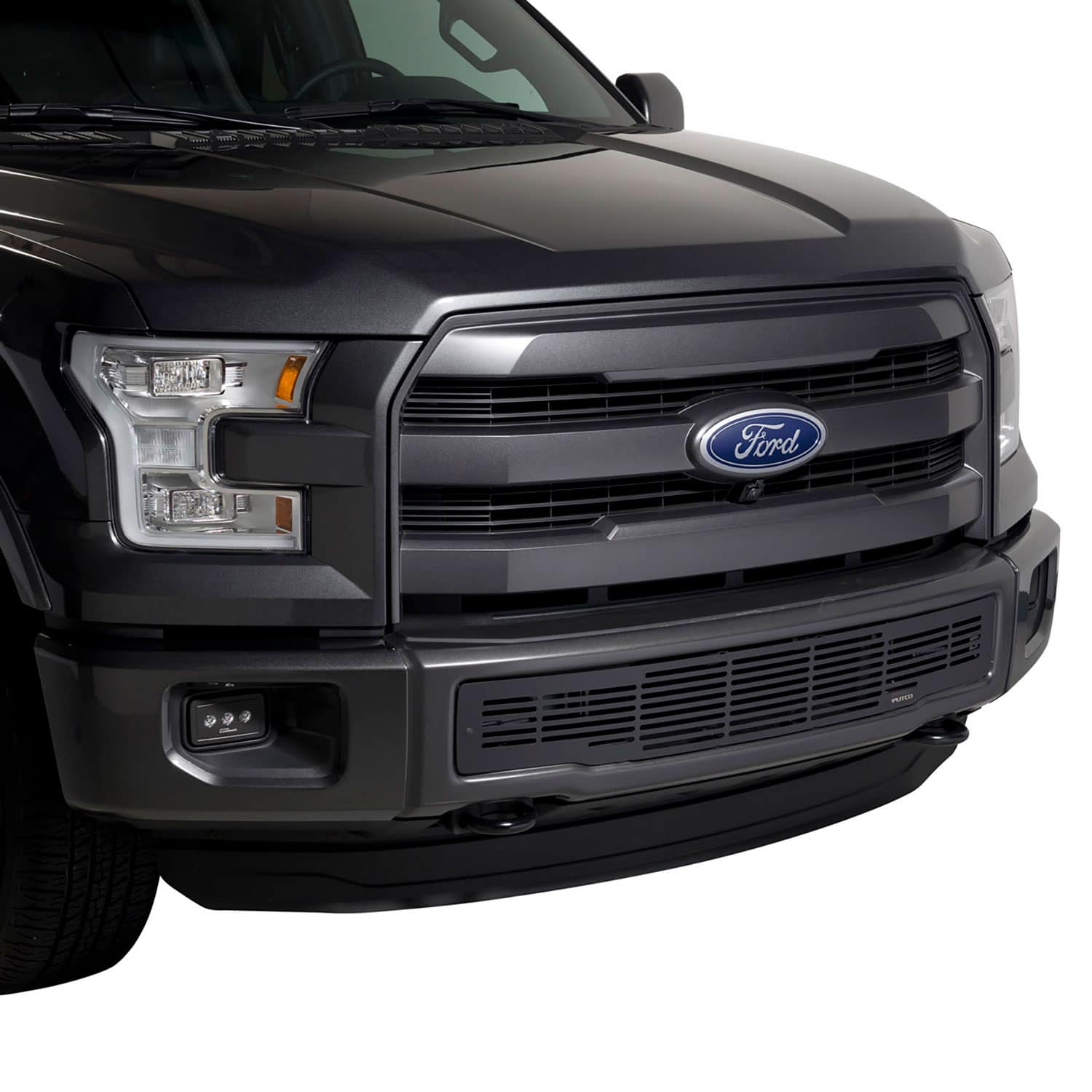2016 Ford F150 Front Bumper Plastic Insert