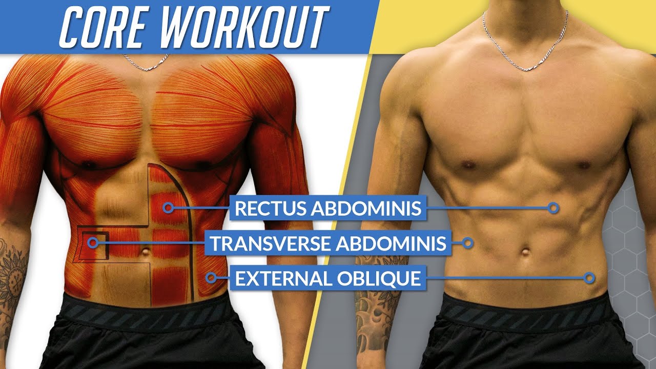 How To Tell If I Have Abs BEGINNER AB WORKOUT | LEVEL 1 ABS | EASY FOLLOW ALONG HOME WORKOUT