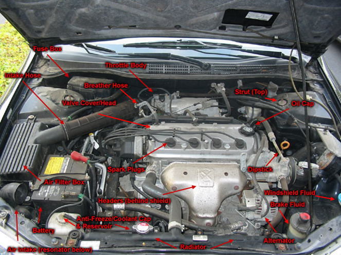 Diagram Of Car Parts Under The Hood