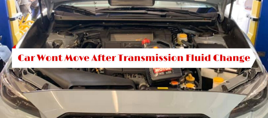 Changed Transmission Fluid Now Wont Move