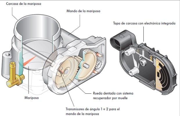 Diagrama Cuerpo De Aceleracion Partes