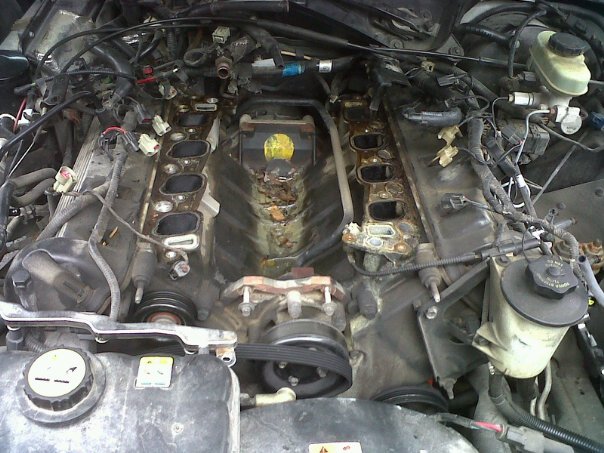 Diagram 4.6 Ford Freeze Plug Locations