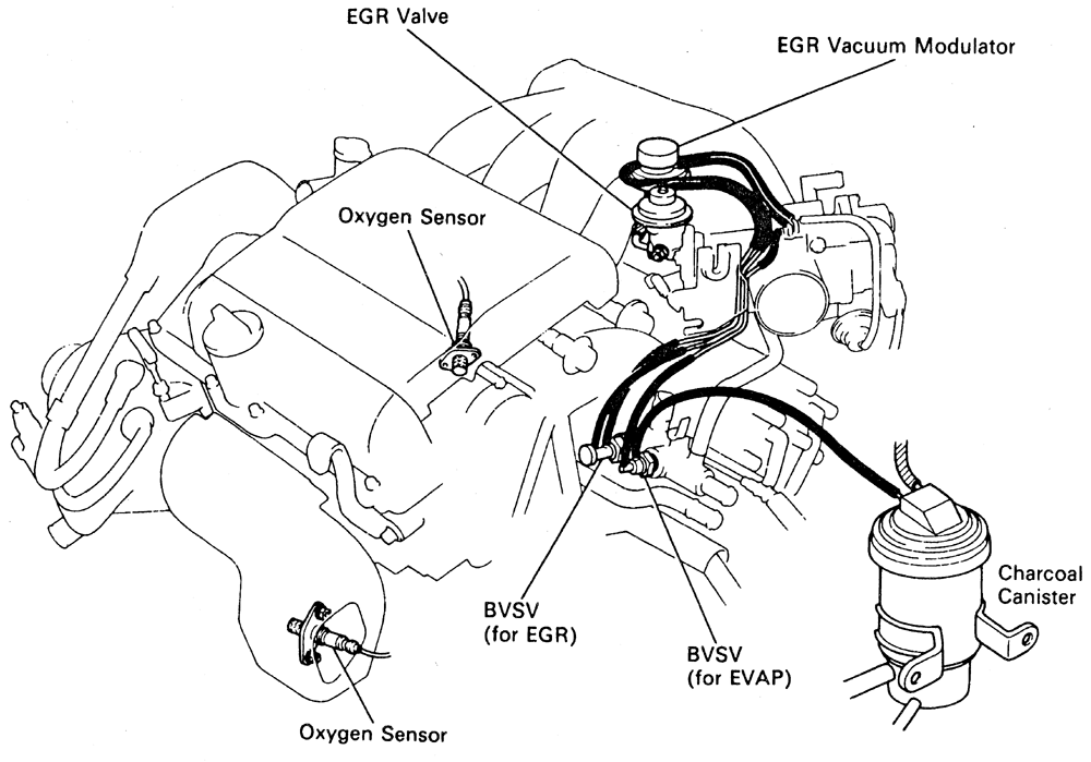 2004 Toyota Camry Vacuum Hose Diagram