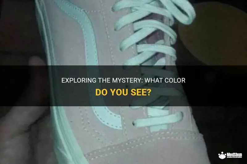 What Color Do You See Pictures