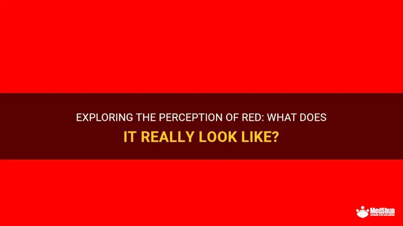 What Does The Color Red Look Like