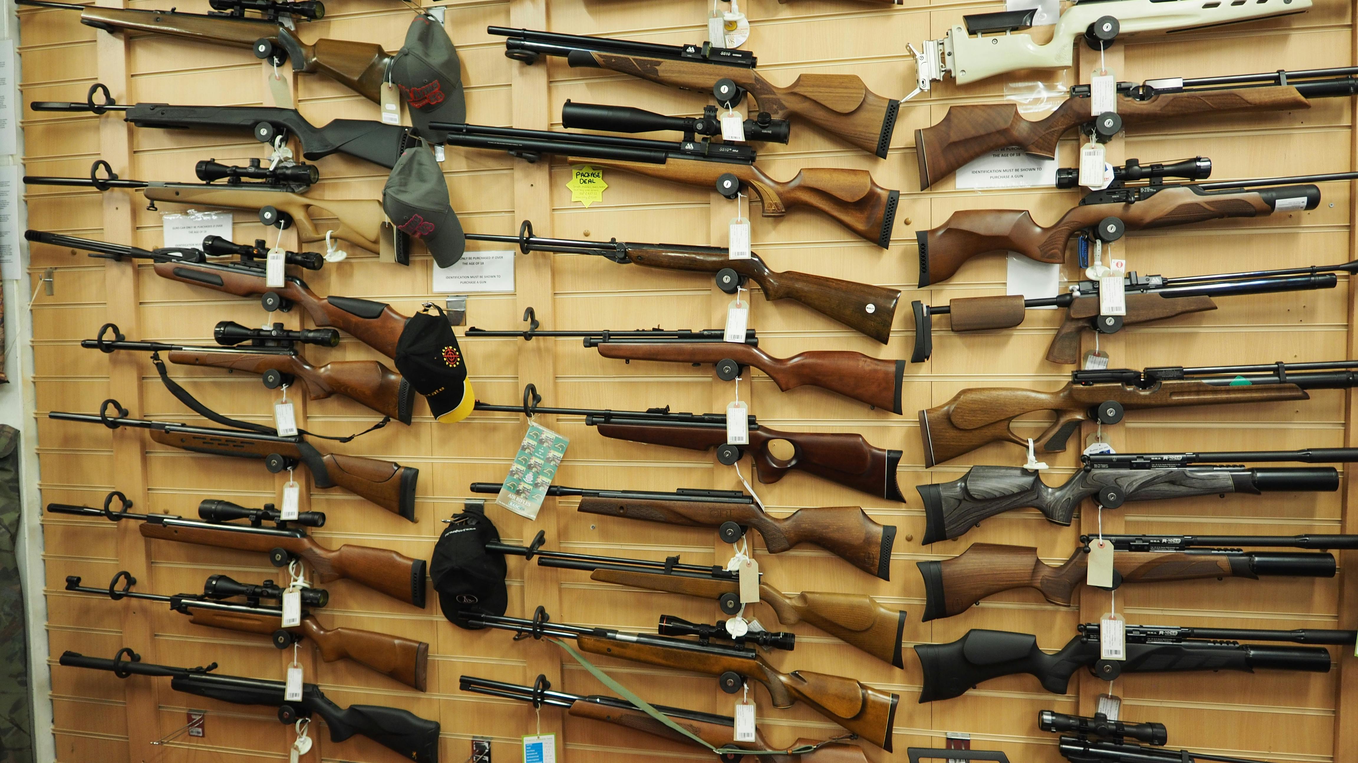 Show Me A Picture Of A Gun