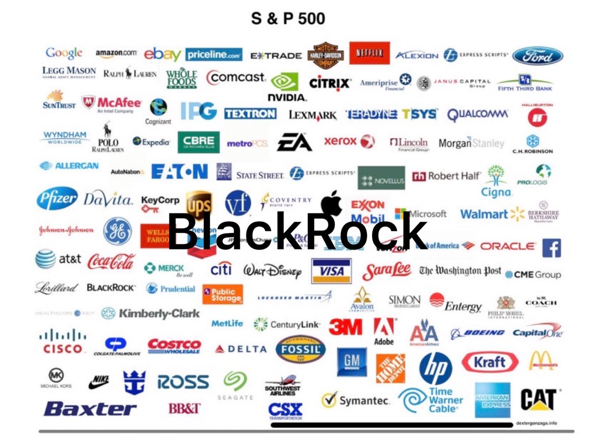 Black Rock What Do They Own