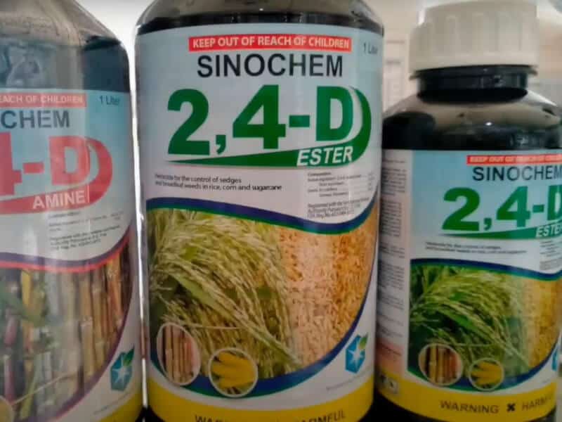 How Much 2 4d Per Gallon