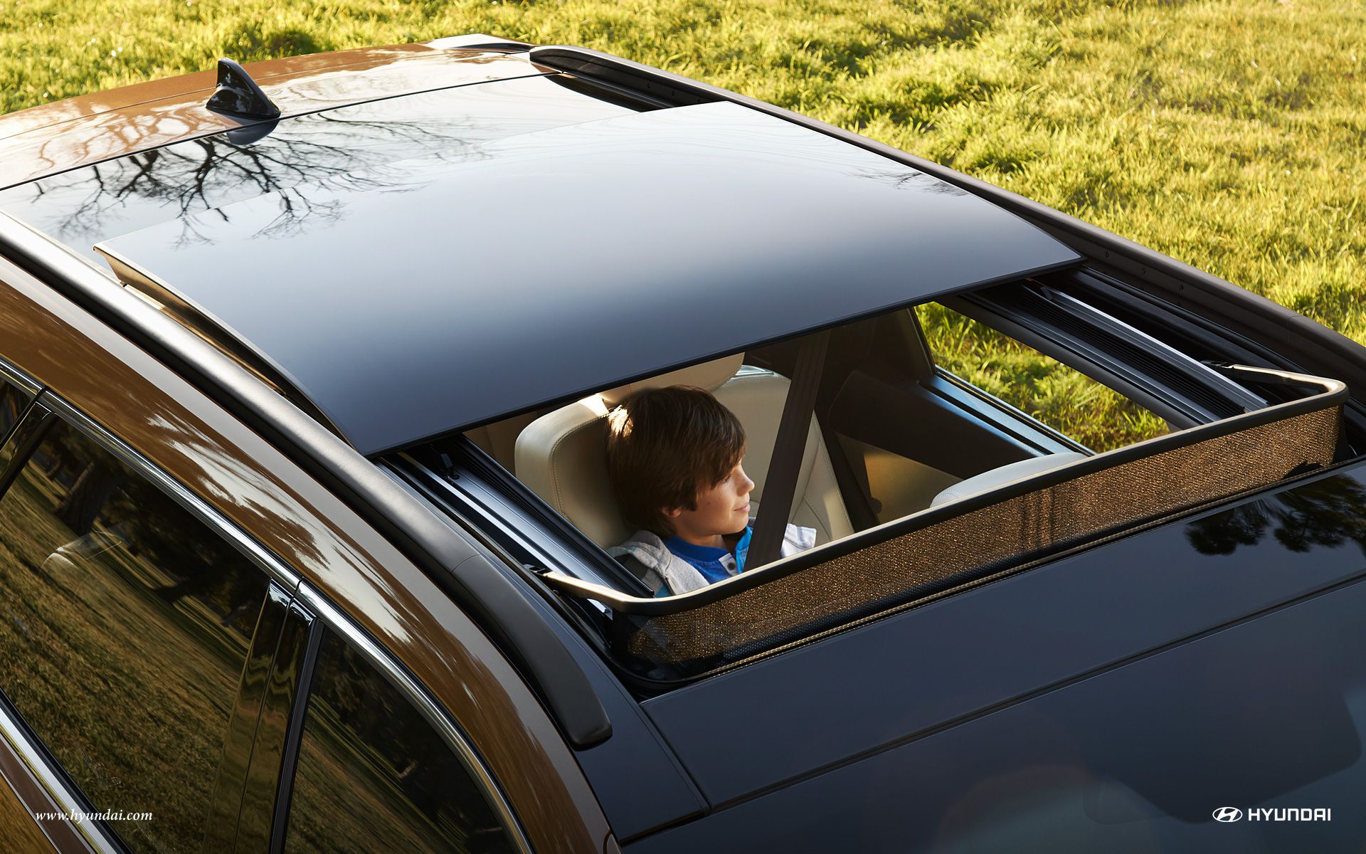 How Much Does It Cost To Put Sunroof On Car