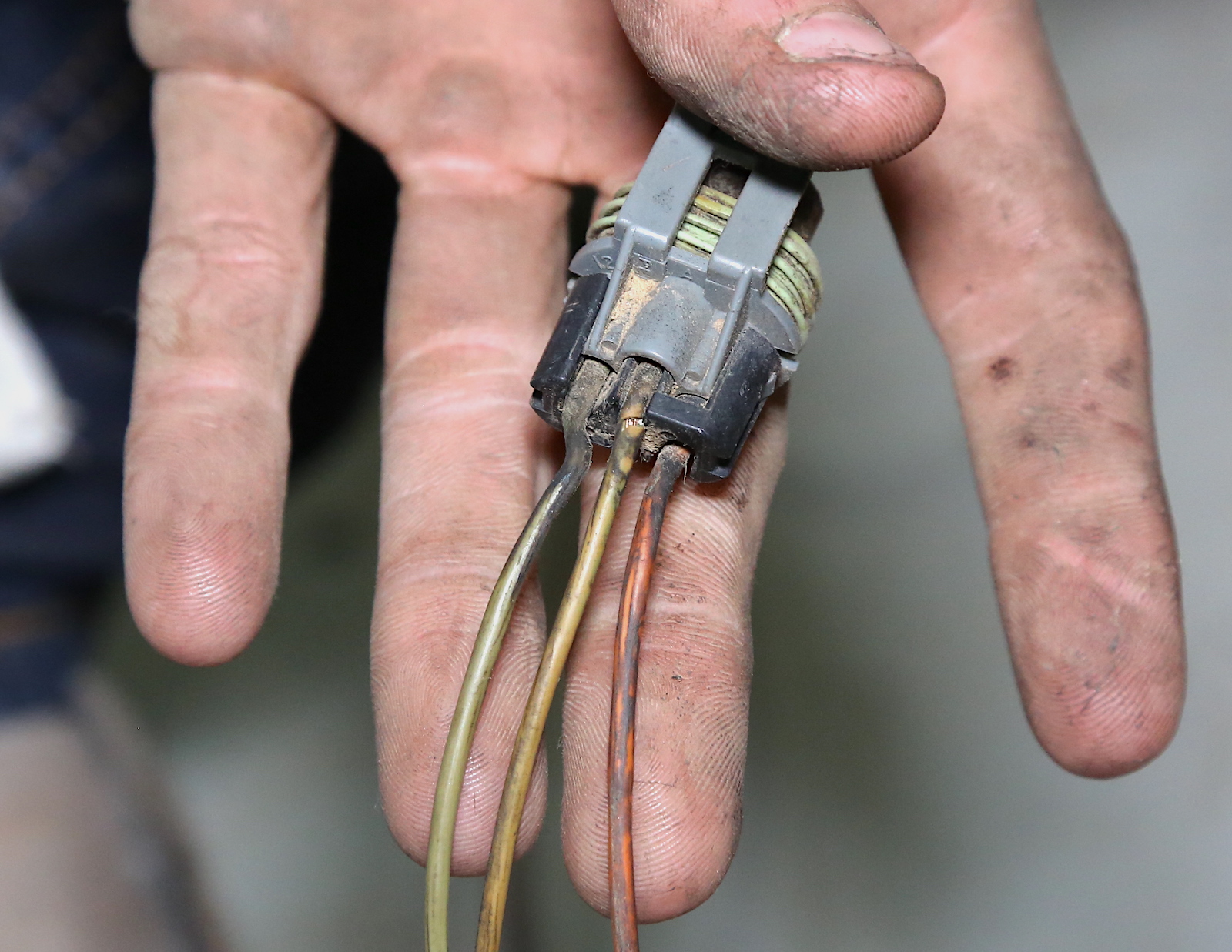 Wiring Harness For Crankshaft Position Sensor