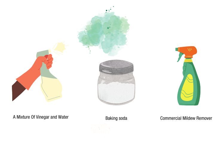 How To Get The Smell Of Mildew Out Of Car