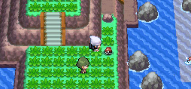 How To Get To Route 224 Platinum