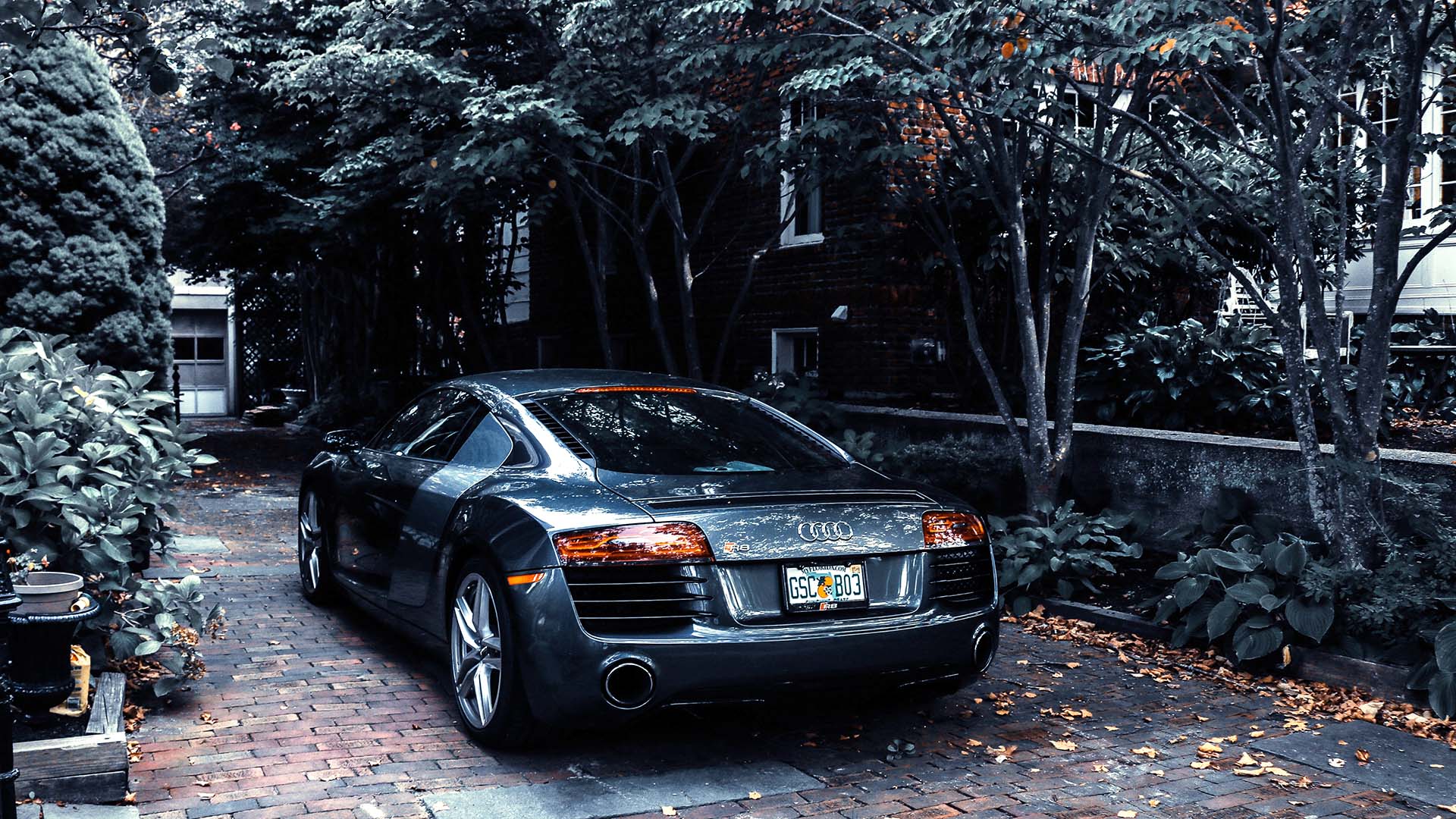 How To Get Tree Sap Off Of Car Windshield