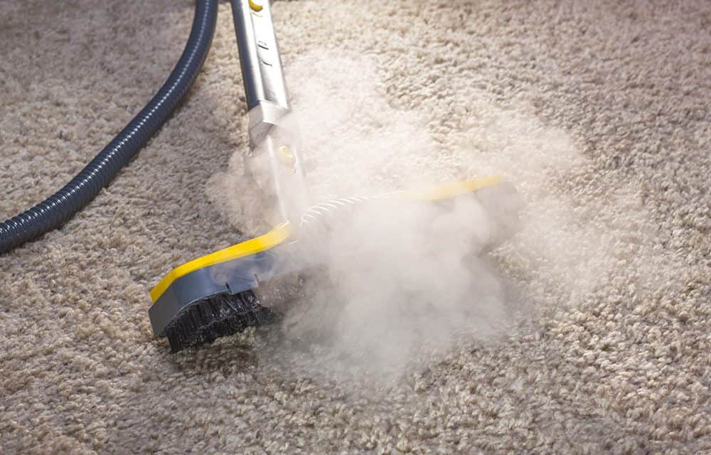 How To Kill Mold In Car Carpet