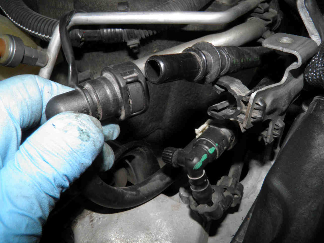 Evap Canister Hose Replacement