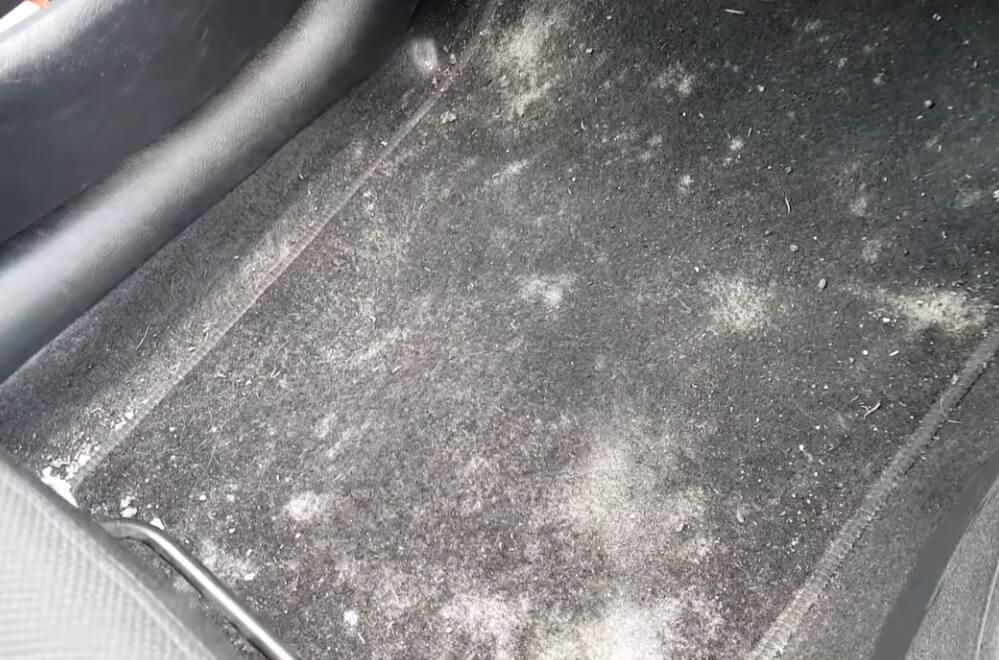 How To Clean Mold In Car Carpet