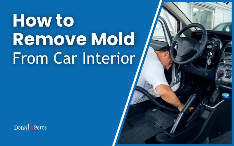 How To Remove Mold Car Interior