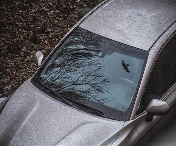 How To Remove Water Spots From Windshield