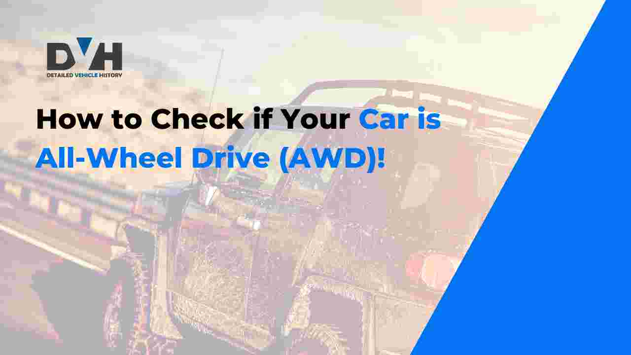 How To Know If Your Car Is Awd How to Tell if Your Vehicle AWD by VIN: All-Wheel Drive