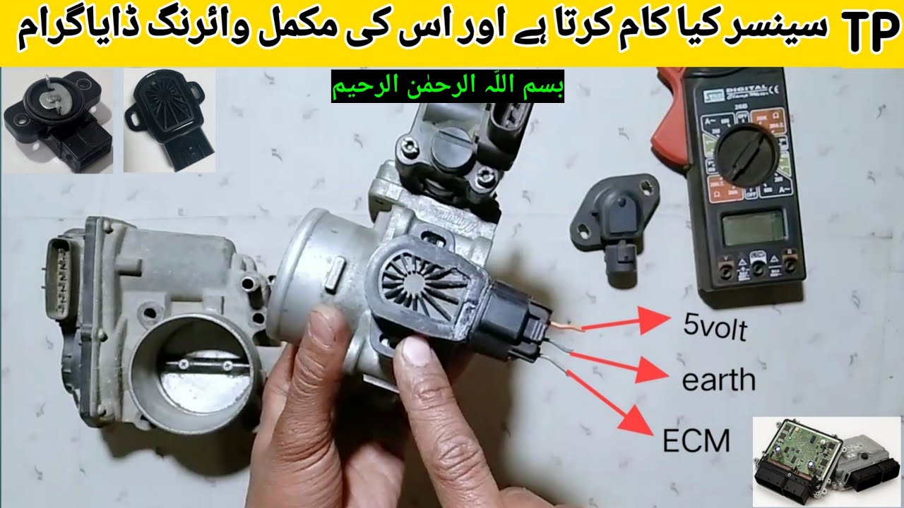 How To Test Throttle Position Sensor Without Multimeter How to test throttle position sensor (TPS) without a wiring diagram