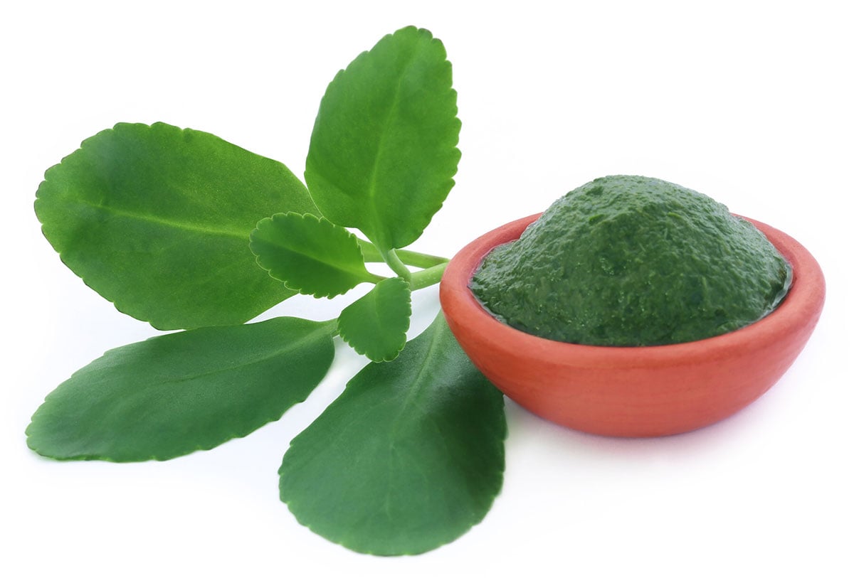 What Leaf Of Life Good For