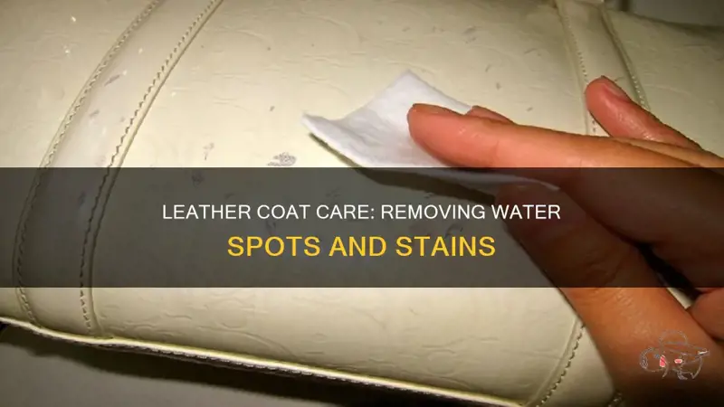 How To Remove Water Spots From Clear Coat