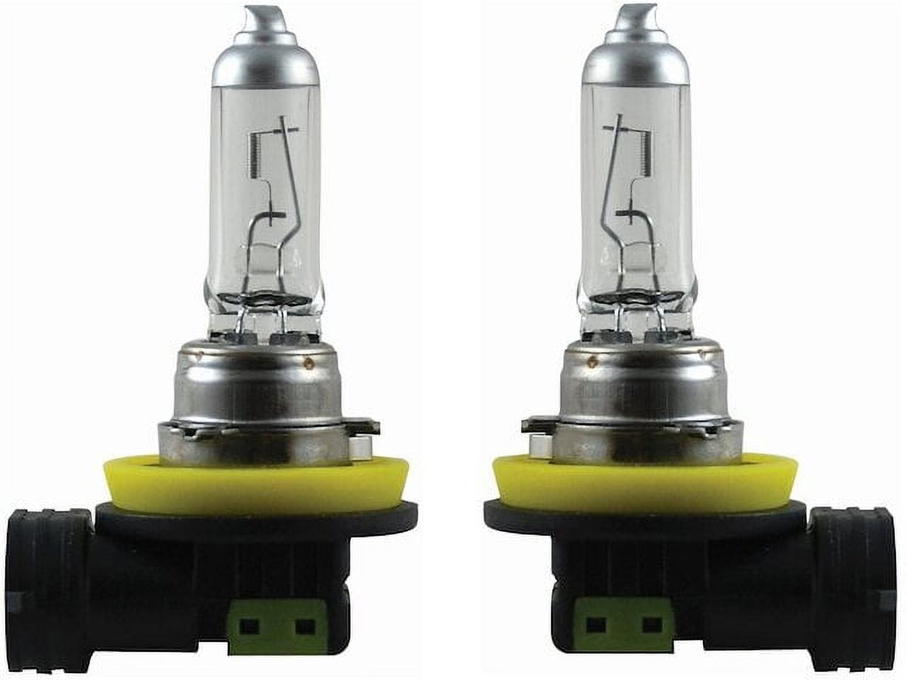 2011 Nissan Maxima Headlight Bulb