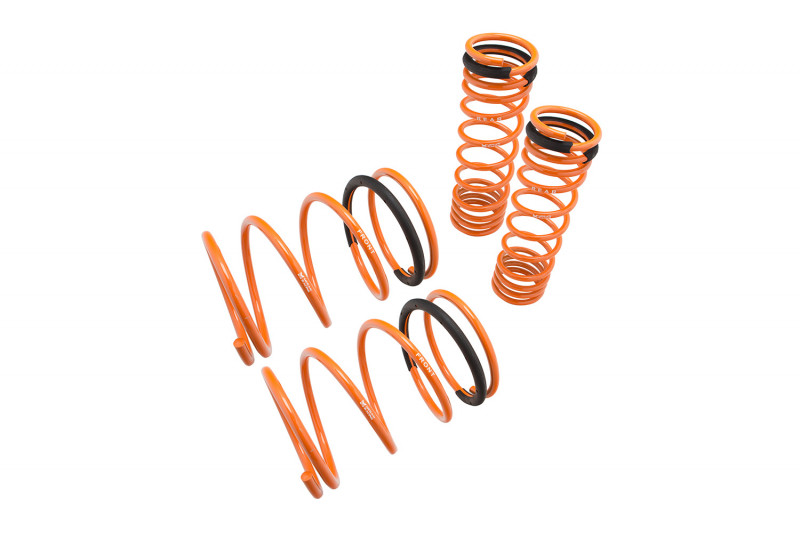 Megan Racing Lowering Springs 240sx