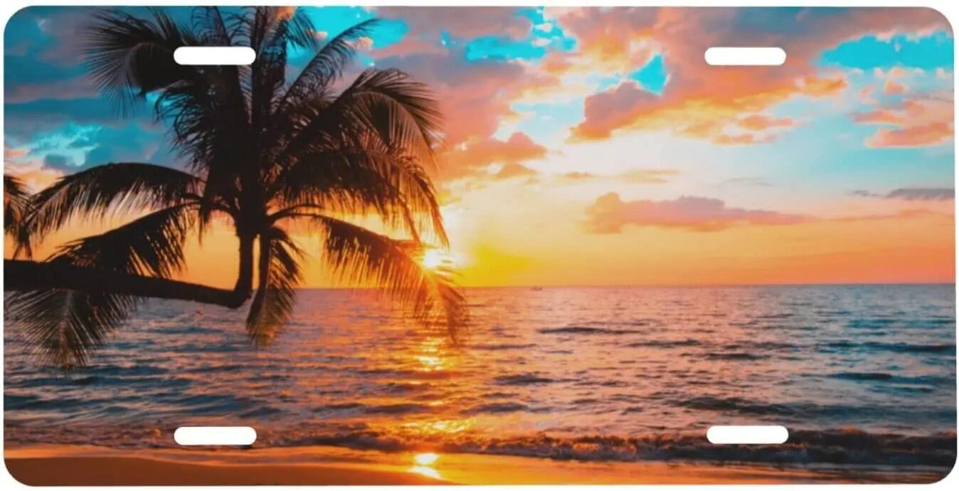 Decorative License Plate For Front Of Car