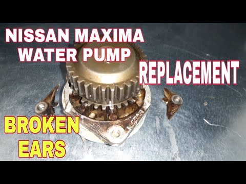 2014 Nissan Maxima Water Pump Replacement