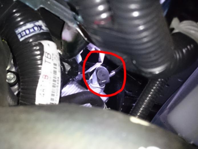 2019 Nissan Sentra Transmission Fluid Dipstick Location