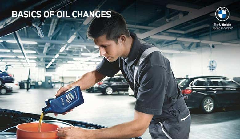 Bert Ogden Oil Change Coupons