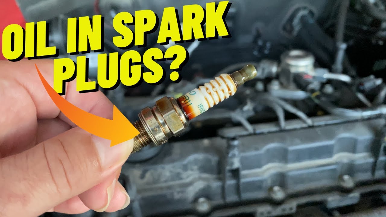 How To Fix Oil In Spark Plugs Oil In Spark Plugs How To Fix It
