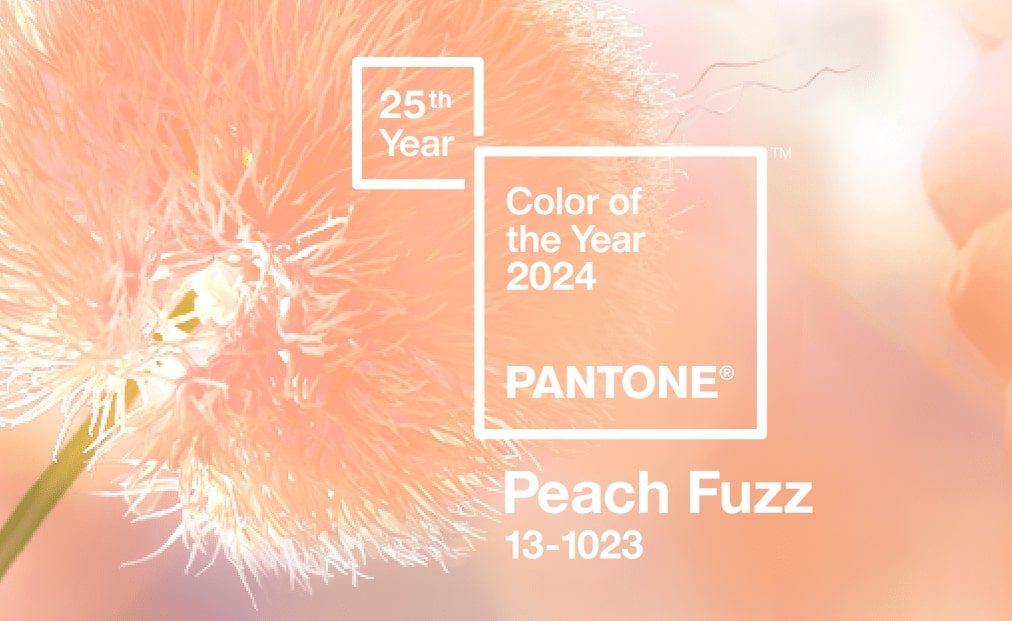 What Is The Color Of 2024