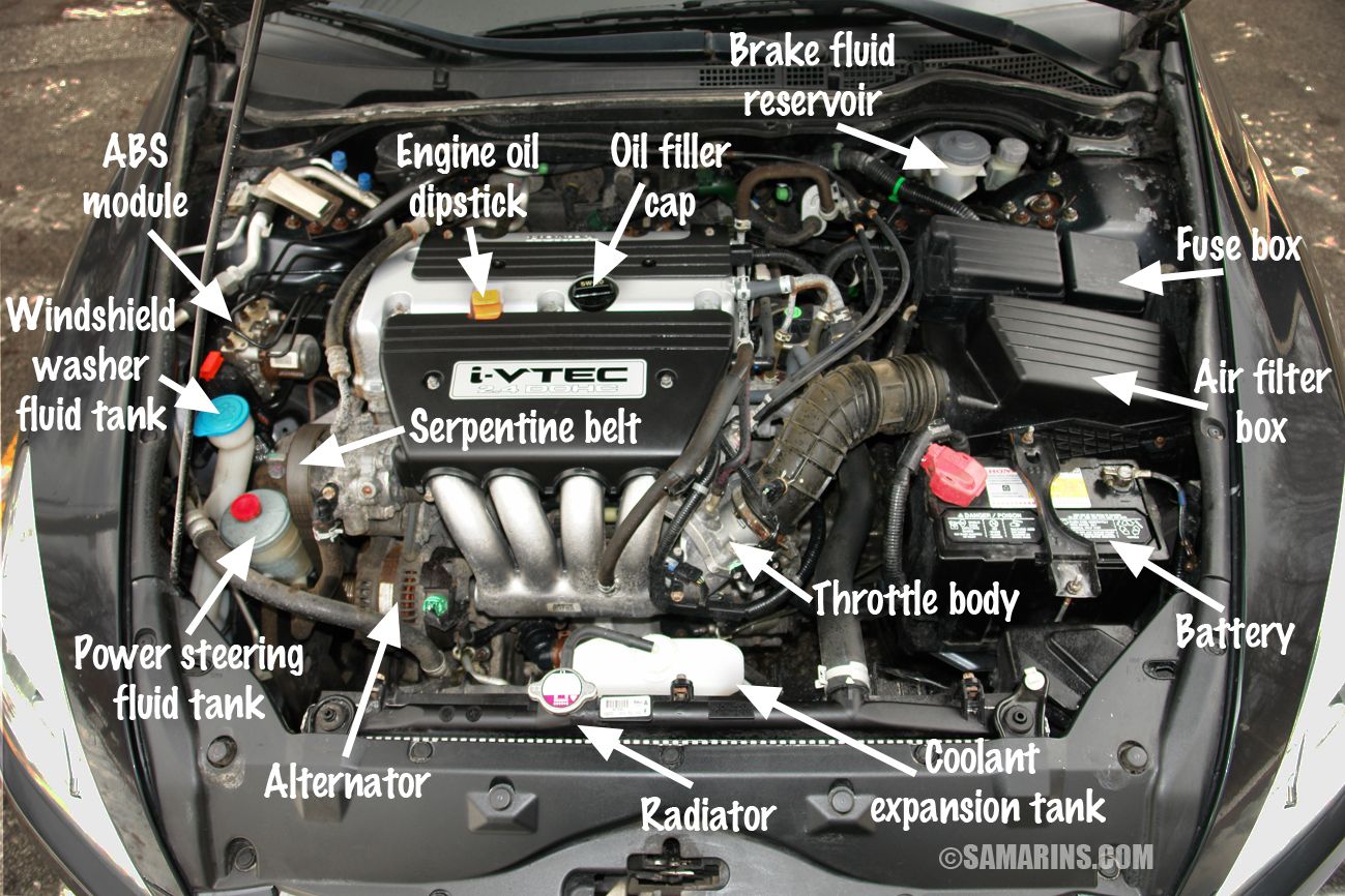 Parts Under The Hood Of A Car Diagram
