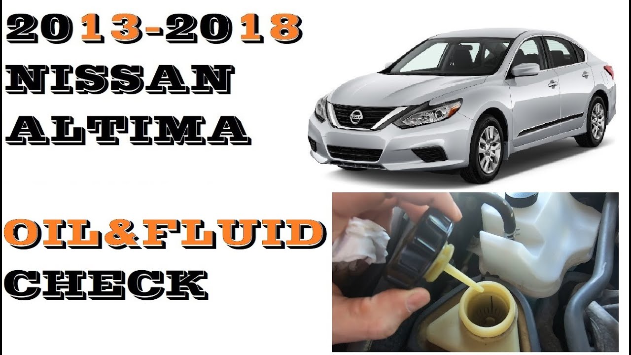 How To Properly Pressurize Steering System On Nissan Altima Power Steering Fluid On Nissan Altima at Sally Abbas blog