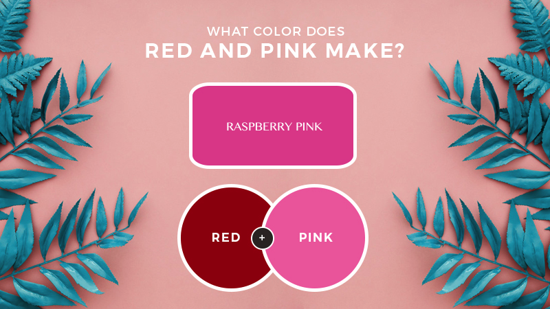 What Color Does Pink And Red Make