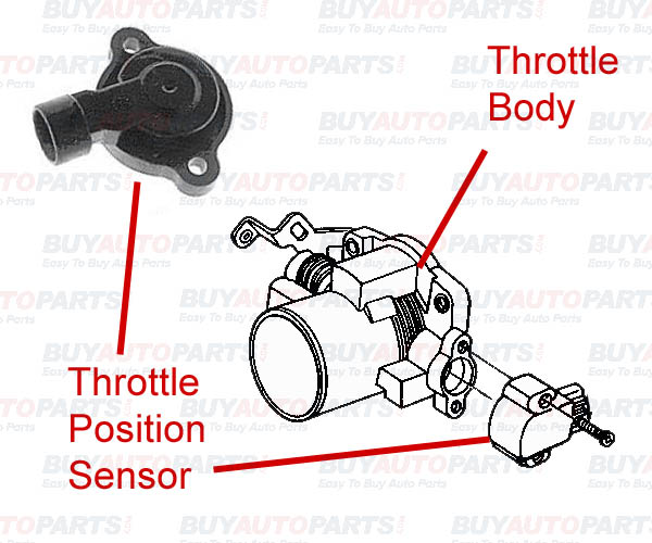 Location Throttle Position Sensor Diagram