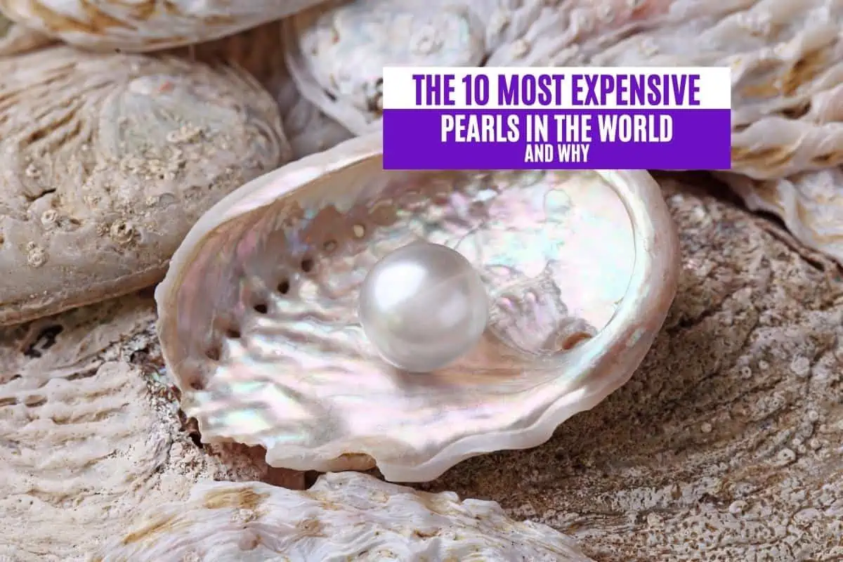 What Is The Most Valuable Pearl