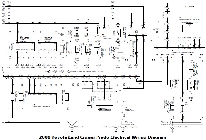 Toyota Tacoma Electrical Wiring Diagram