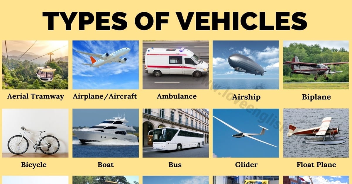 What Is The Type Of Vehicle