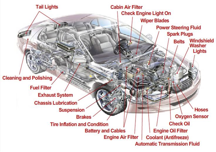 Diagram Of The Underside Of A Car